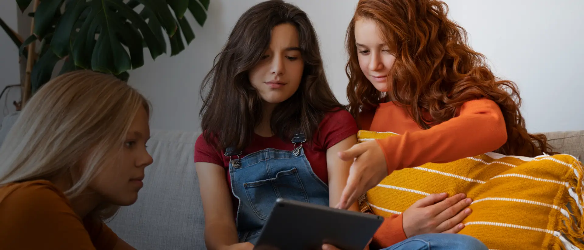 Contácta a Baja Sur en Acción