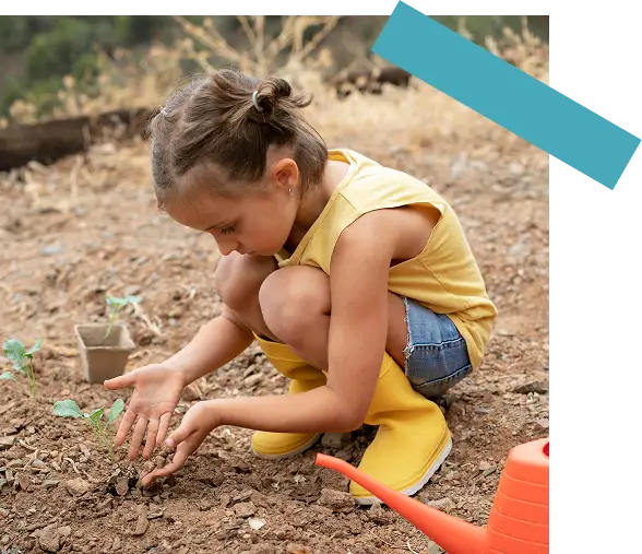 Acerca de Baja Sur en Acción